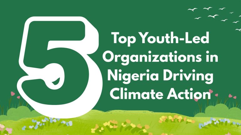 5 Top Youth-Led Organizations in Nigeria Driving Climate Action