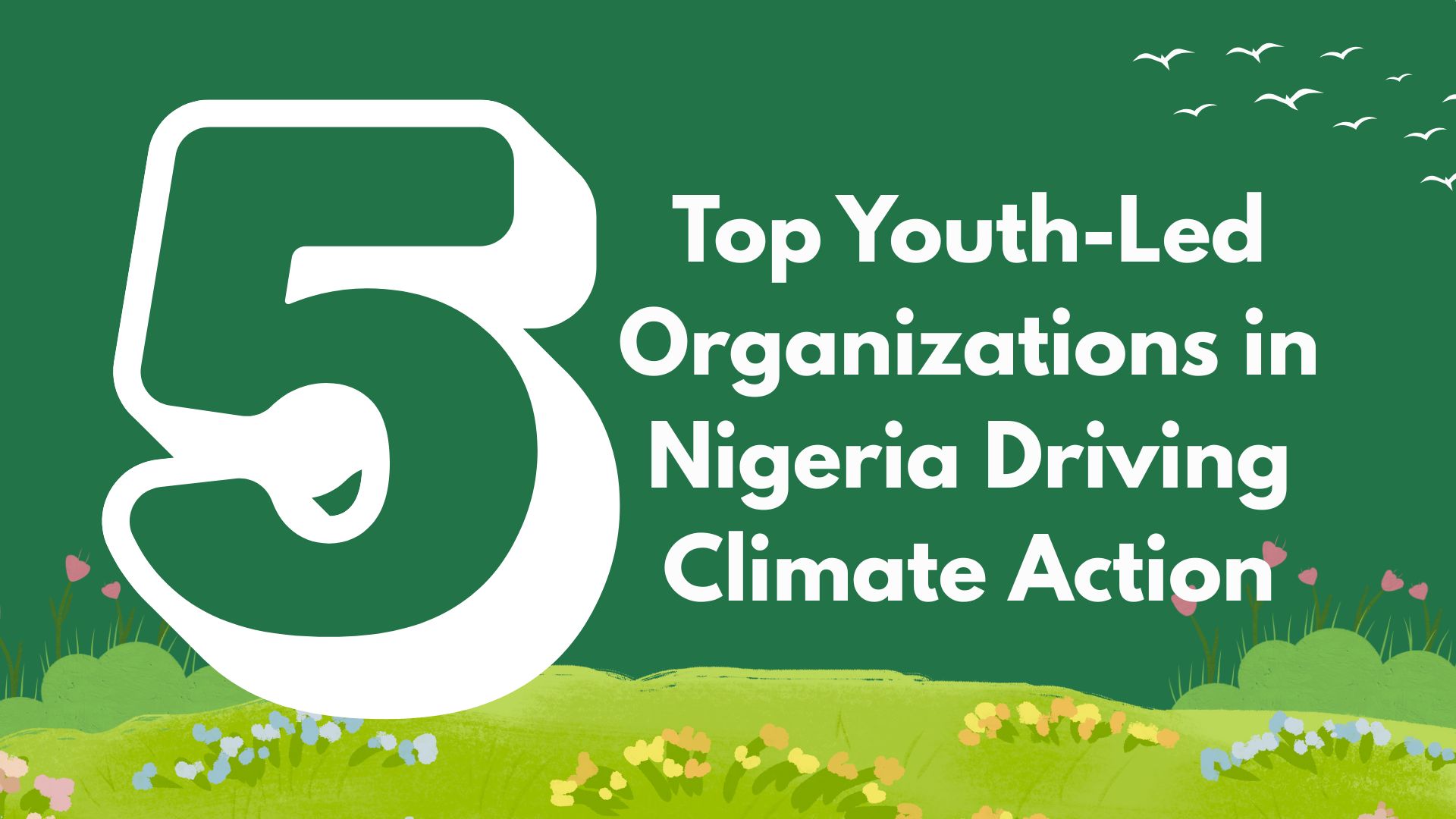 5 Top Youth-Led Organizations in Nigeria Driving Climate Action